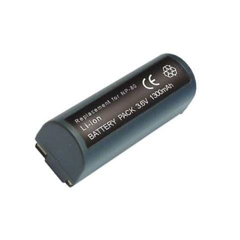 Batterie camescope ricoh caplio rdc i500