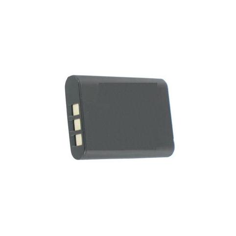 Batterie camescope ricoh ricoh r50