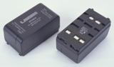 Batterie camescope panasonic nv g2